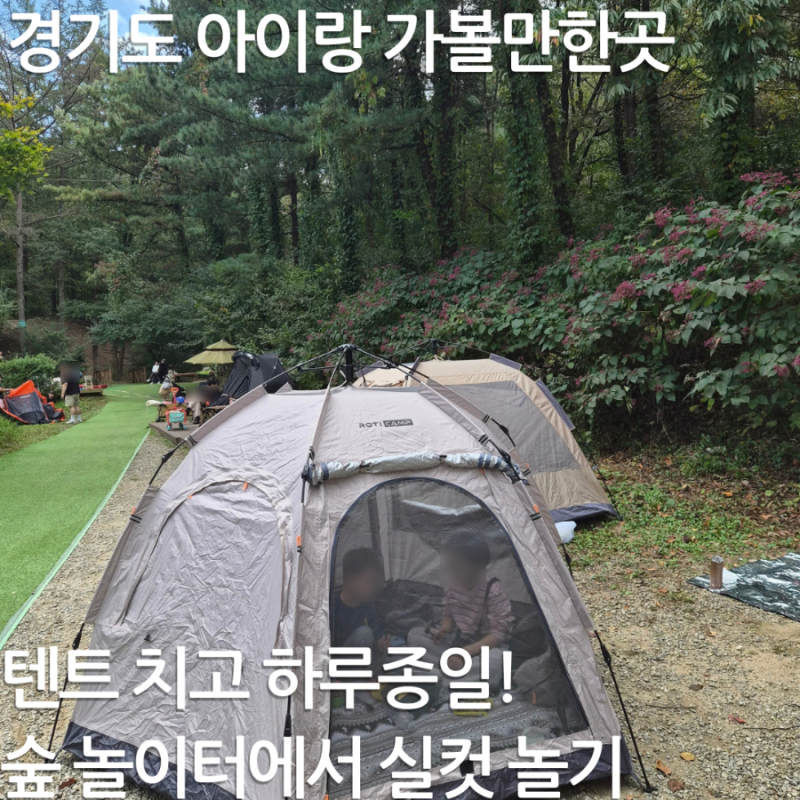 용인 아이와 가볼만한곳｜텐트·돗자리 펴고 하루종일 노는 숲 놀이터, 동천자연식물원 가을....