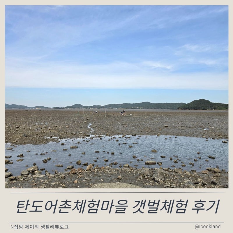 대부도 갯벌체험 탄도어촌체험마을 10월 달라진 점