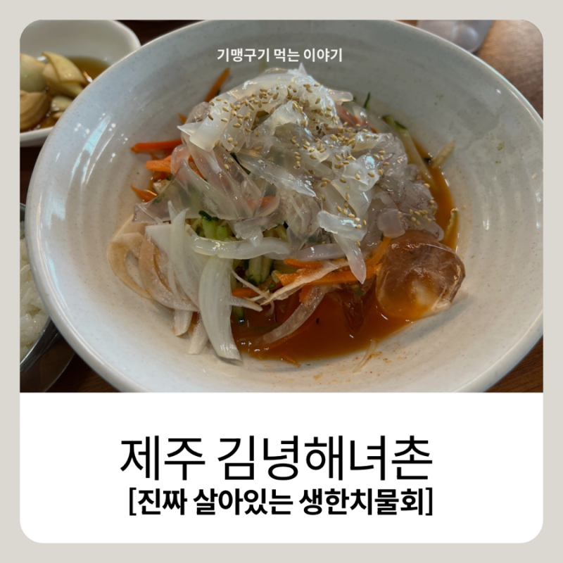 제주 김녕 맛집 김녕해녀촌 한치물회｜제주 여행에서 꼭 먹어볼 한치물회