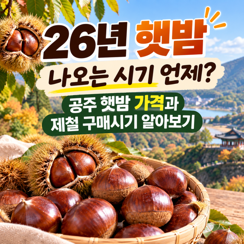 26년 햇밤 나오는 시기 언제? 공주 햇밤 가격과 제철 구매시기 알아보기