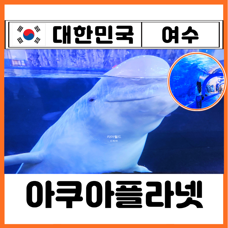 여수 아쿠아플라넷 아쿠아리움 입장료 할인 벨루가 공연 시간 주차 근처 맛집 스탬프북 투어....