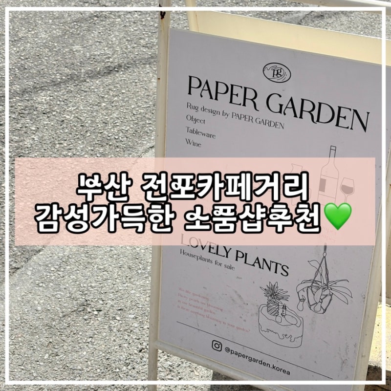 부산 전포카페거리 소품샵 추천 | 페이퍼가든 본점 감성 소품과 식물이 가득한 곳
