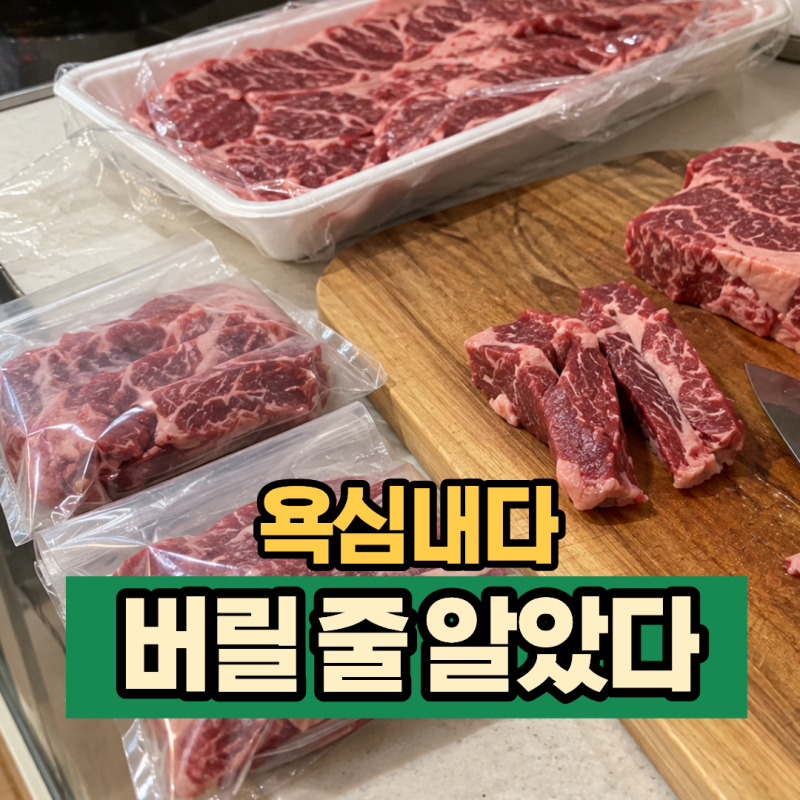 “버릴 줄 알았다” 그렇게 넣어두면 당연히 못 먹죠! 코스트코 소고기 소분·냉장 냉동 보관....