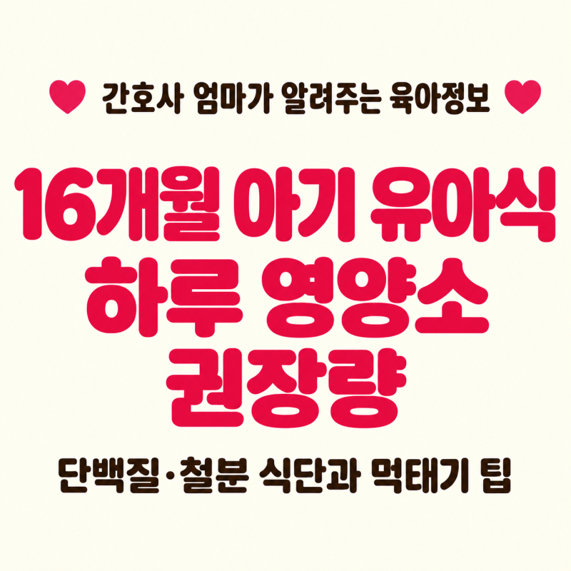 16개월 아기 유아식 하루 영양소 권장량｜단백질·철분 식단과 먹태기 팁