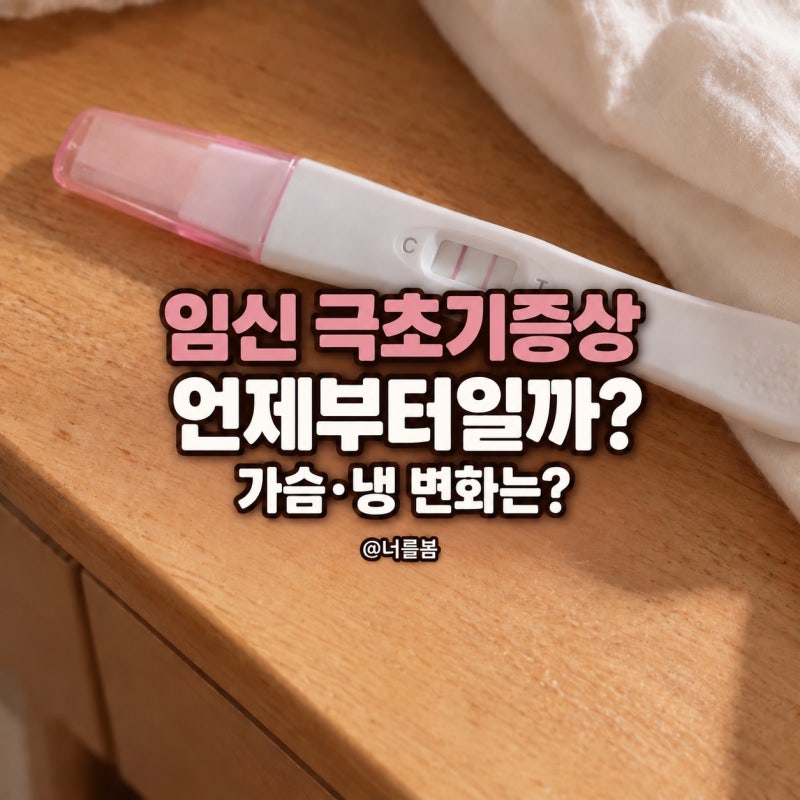 임신 극초기증상 시기 (가슴 통증 냉 설사 열 입덧)
