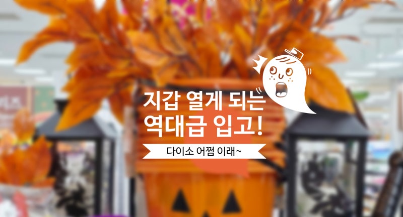 다이소 꿀템! 이거 진짜 역대급이네요~ 지갑 열리는 할로윈 인테리어 소품 장식