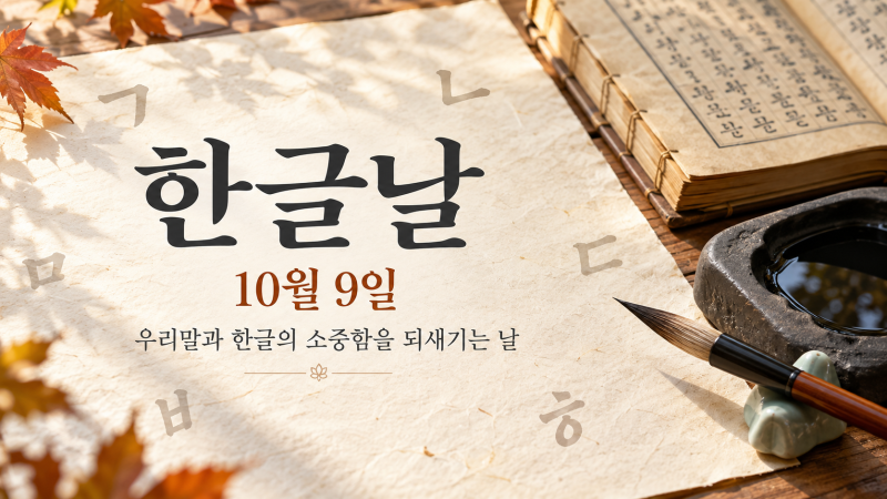 한글날 용다리 야시장 근처 아크테릭스 abc 마트
