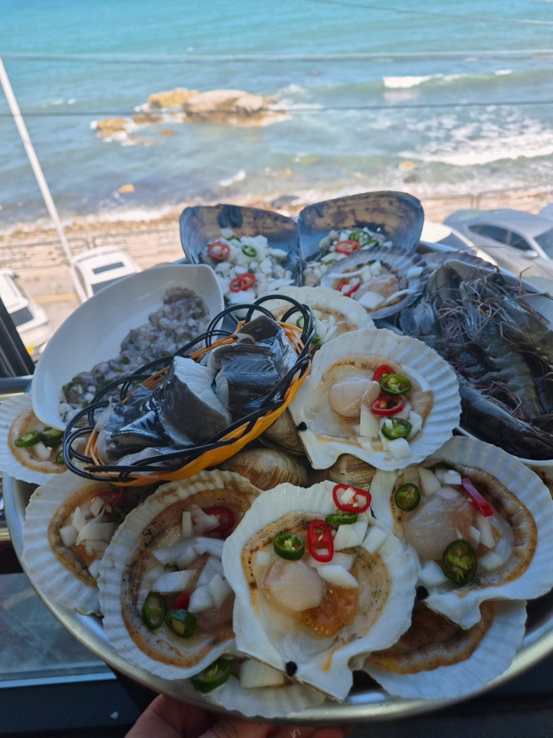 부산청사포맛집 하진이네 바다 보며 술 한잔 생각나는 오션뷰 맛집