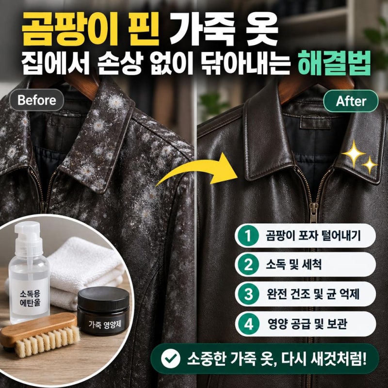 곰팡이 핀 가죽 옷 집에서 손상 없이 닦아내는 해결법