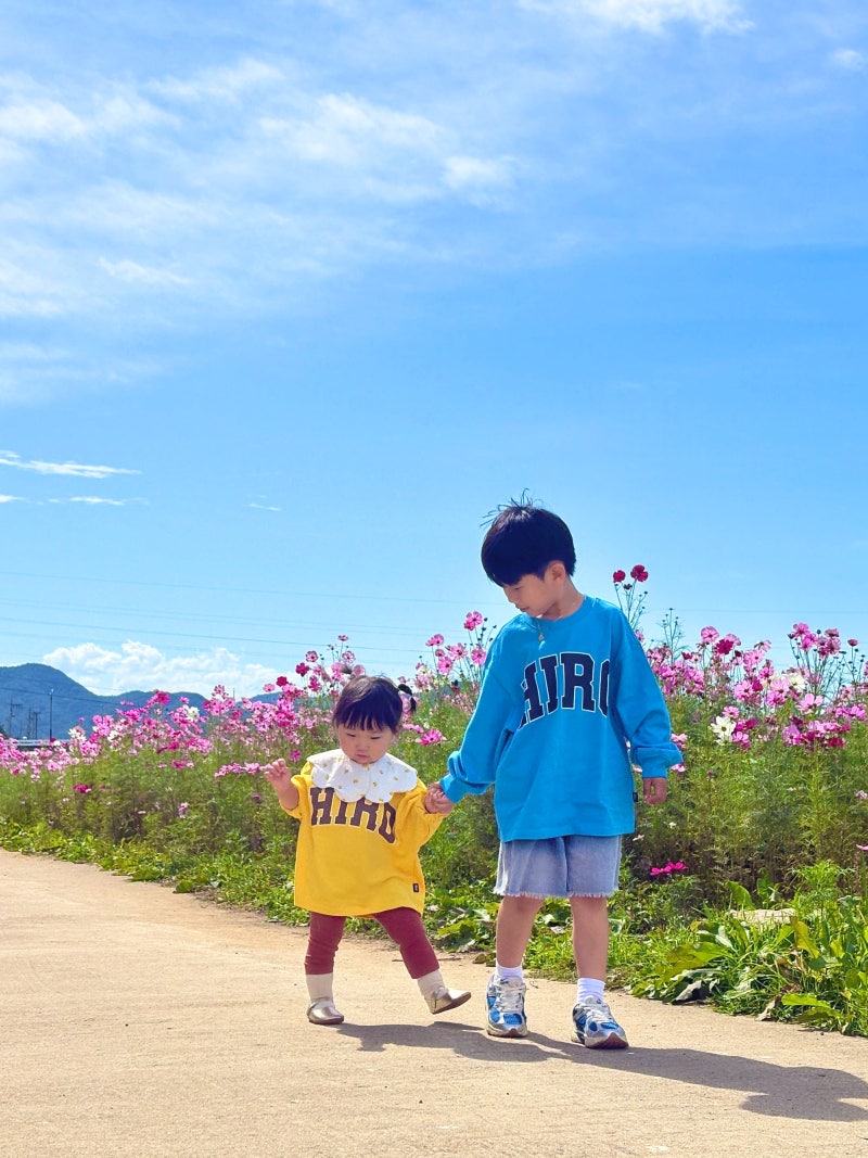 10월 대구 근교 가볼만한 곳｜고령 가을꽃 명소 어북실, 아이들과 다녀온 가을 나들이