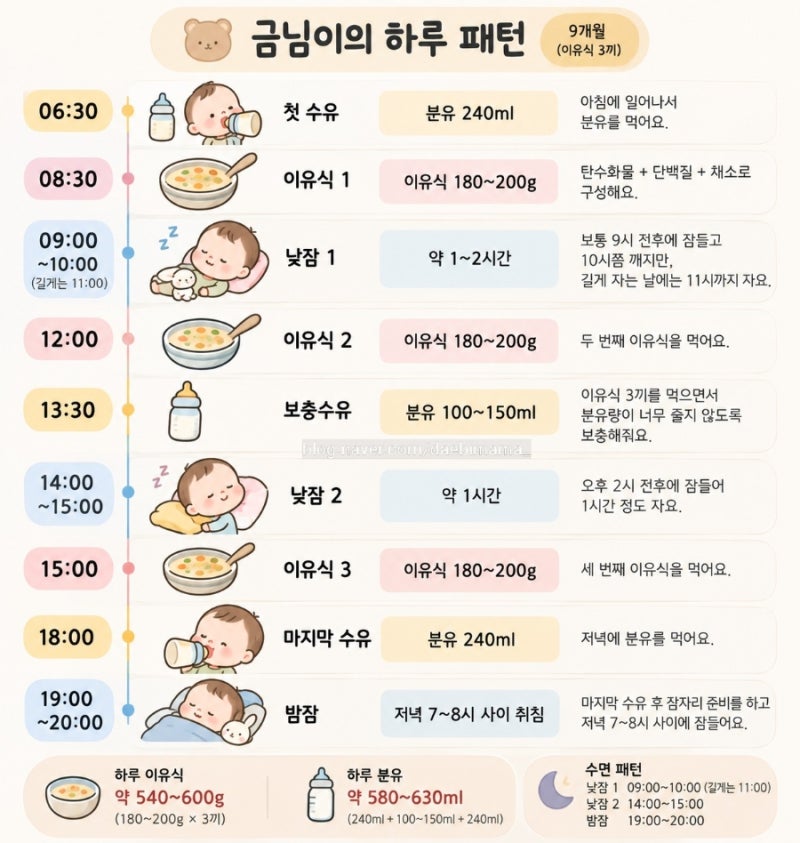 9개월 아기 이유식 3끼 시작｜분유량부터 낮잠까지 실제 하루 루틴