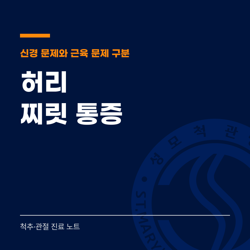 허리찌릿통증, 신경 문제와 근육 문제를 구분하는 방법과 기준