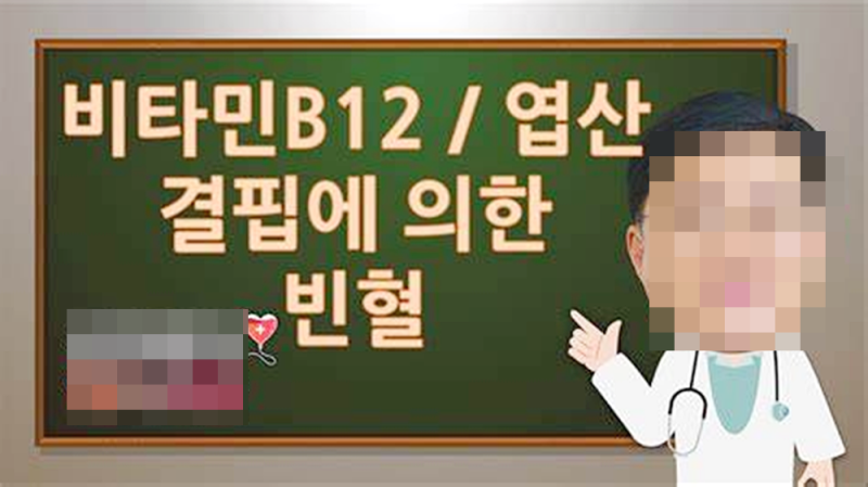 임신 준비 합성엽산 활성엽산 차이 똑똑한 선택법