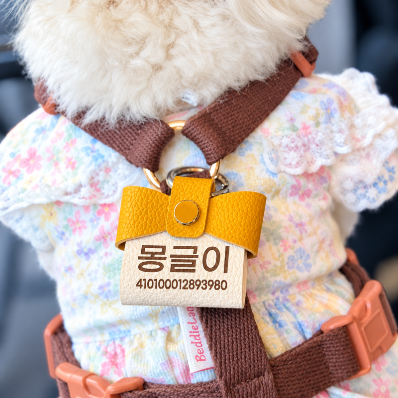 펫요 강아지인식표, 어디에나 잘 어울리는 옐로 강아지가죽네임택 후기