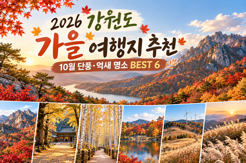 강원도 가을 여행지 추천 - 10월 단풍·억새 명소 BEST 6 아이와함께, 부모님과 함께 가기 좋은....