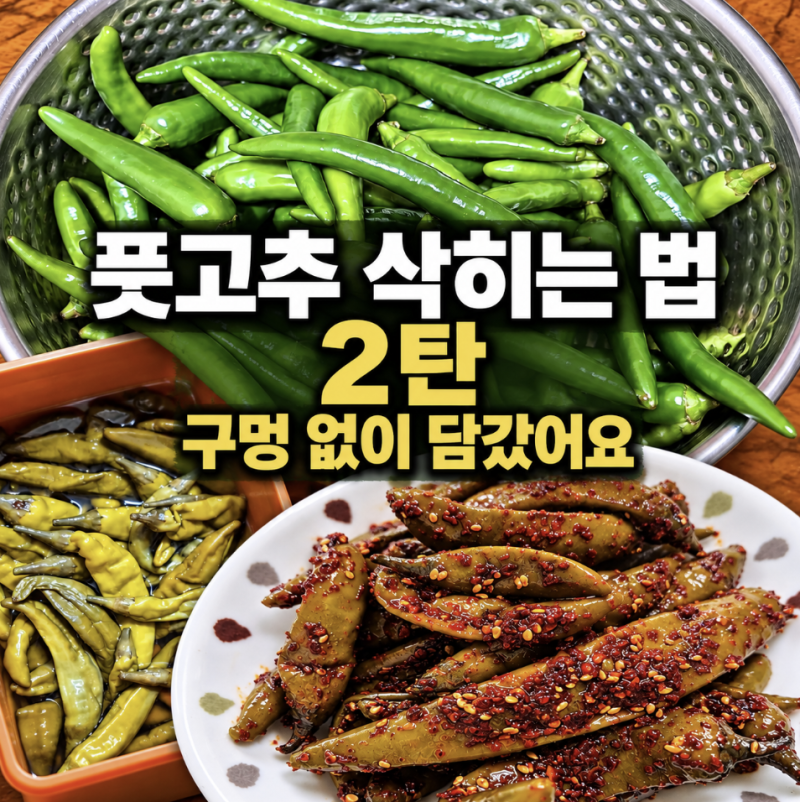 풋고추 소금에 삭히는 법 2탄, 구멍 없이 제가 직접 담근 방법