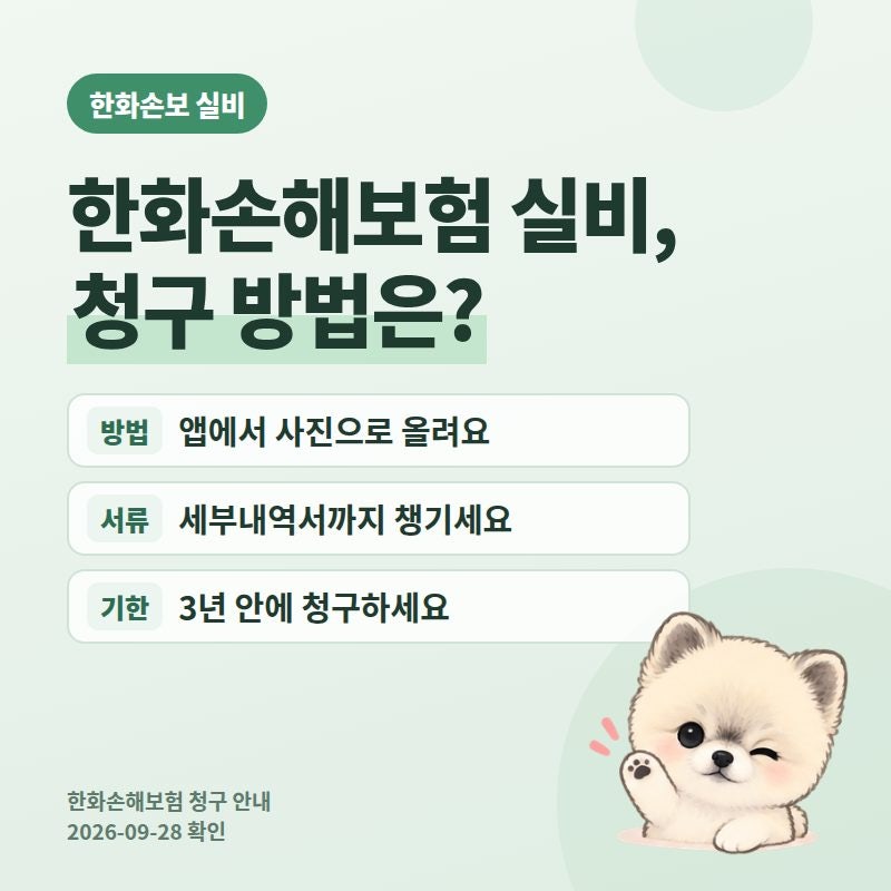한화손해보험 실비 청구 방법 2026, 앱·홈페이지·팩스·우편 청구 순서와 통원·입원 필요서....