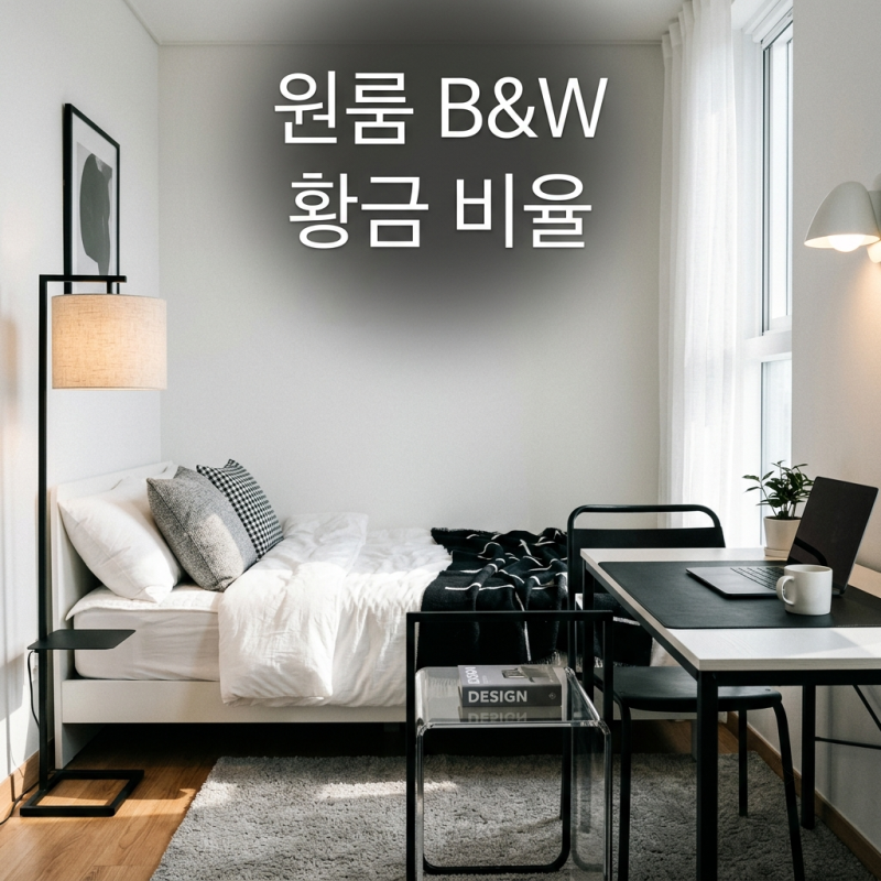 원룸 블랙 앤 화이트 모던 인테리어: 6평 공간 넓어 보이는 실전 배치 팁