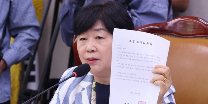 서영교 "행정부의 장은 국무총리" 발언 배경
