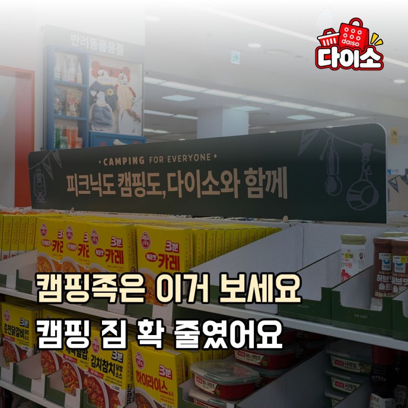 다이소에 이런 것까지 있다고요? 캠핑 갈 때마다 바리바리 챙긴 게 억울하네요