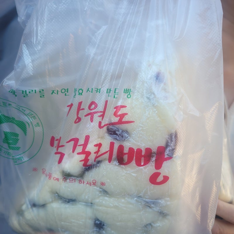 속초 중앙시장 강원도 막걸리술빵 아침 8시 오픈런 웨이팅 내돈내산 후기