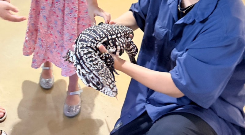 파주 테이블에이 | 이 동물까지 직접 만져도 된다고?
