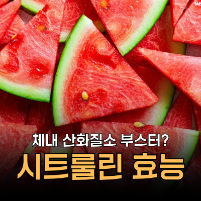 L-시트룰린 효능, 아르기닌보다 좋다는데 어떤 차이가 있을까? 부작용, 권장량, 복용시간ㅣ망....