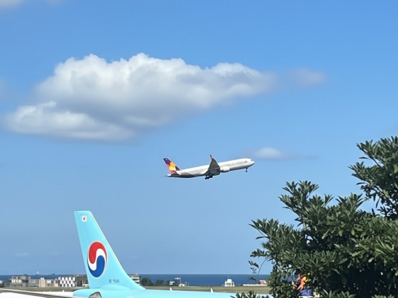 제주공항 근처 맛집 아침식사로 고기국수! 제주 도두봉 근처 맛집 도도리