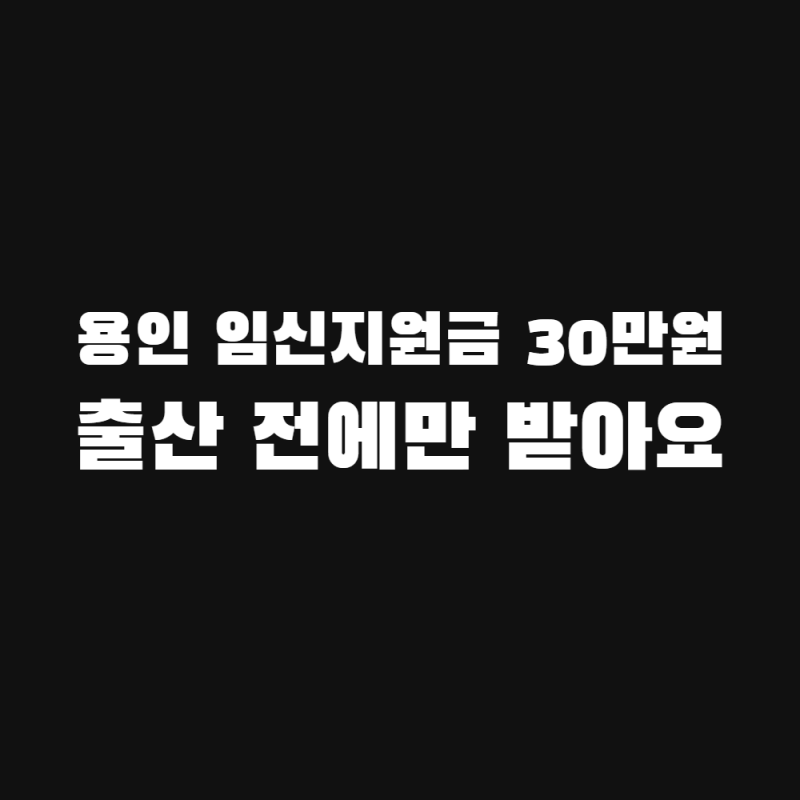 용인시 임신지원금 지급 신청 방법, 30만원 대상·서류 (출산 후엔 끝)