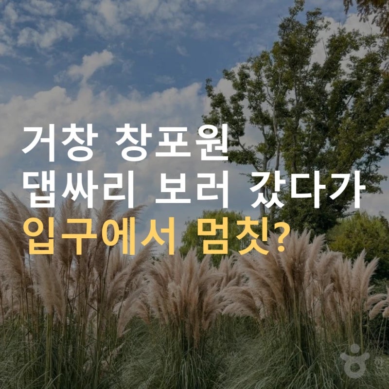 거창 창포원 댑싸리 팜파스 꽃길 여행 2026년부터 입장료 "공짜 아니었어?"