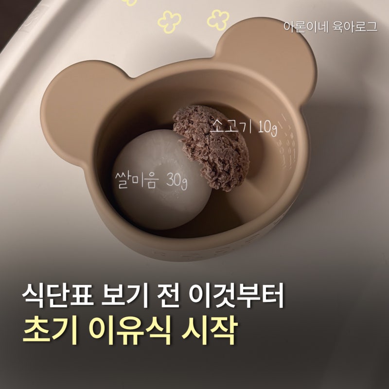 초기이유식 식단표 어떻게 볼까? 시작 시기 재료 양 알레르기까지