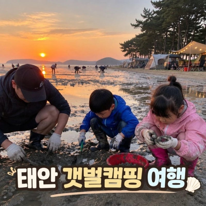 [태안 갯벌체험 캠핑장 추천] 아이와 해루질까지! 가족여행 준비물·물때 완벽 가이드 ⛺