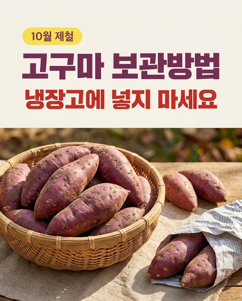 고구마 보관방법 냉장고 NO, 고구마 찌는법·에어프라이어 군고구마 시간