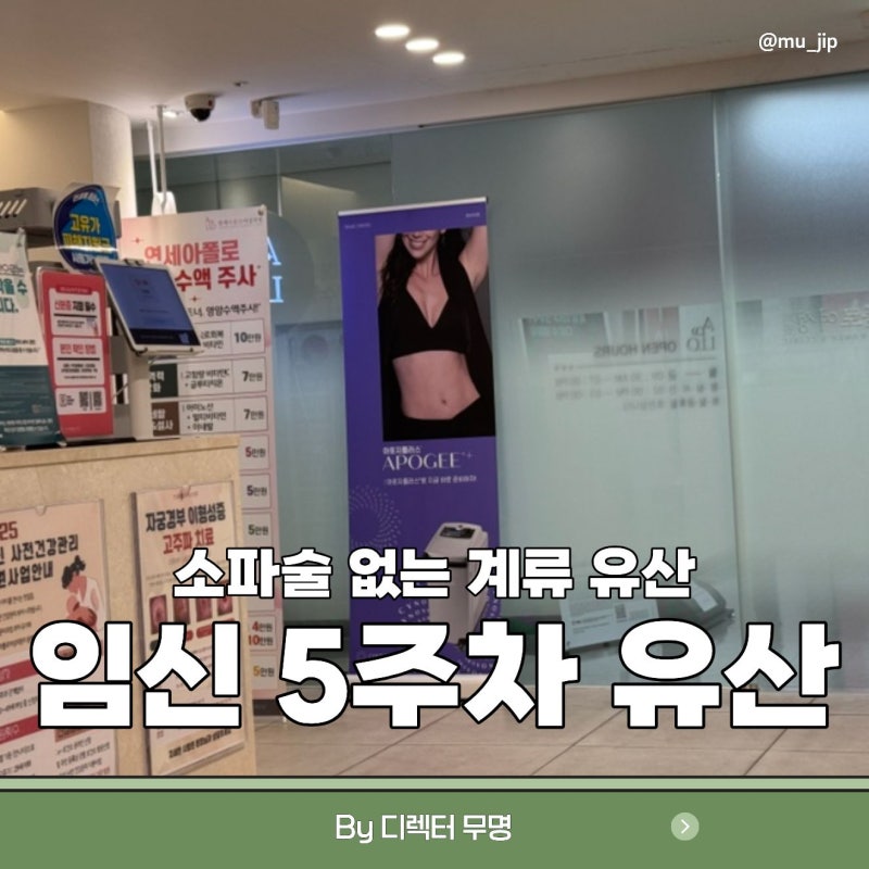 임신 극초기 유산 증상 계류유산 5주차 소파술 없는 자연배출 국민행복카드 써도 되나?
