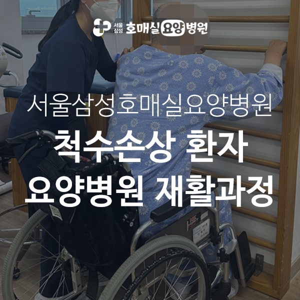 척수손상 환자 요양병원 재활, 초기 관리부터 일상 복귀 훈련까지
