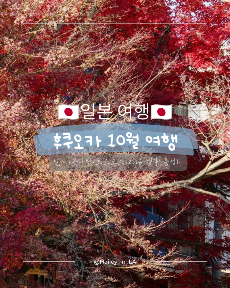 후쿠오카 10월 여행｜날씨·옷차림·코스모스·2026 축제 총정리