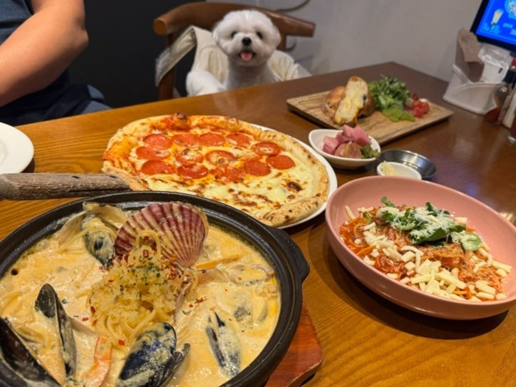 수원 애견동반 브런치 파스타맛집 트라토리아 베이커리 카페 추천