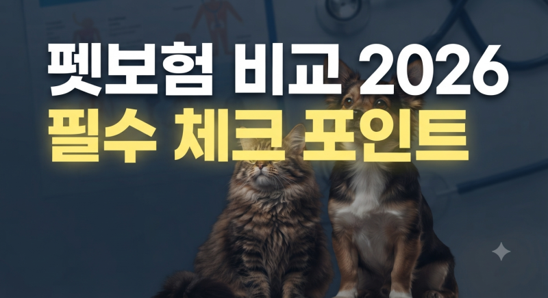 펫보험 총정리 (+고양이 펫보험·강아지 펫보험 비교, 자기부담금,가입 전 체크사항)