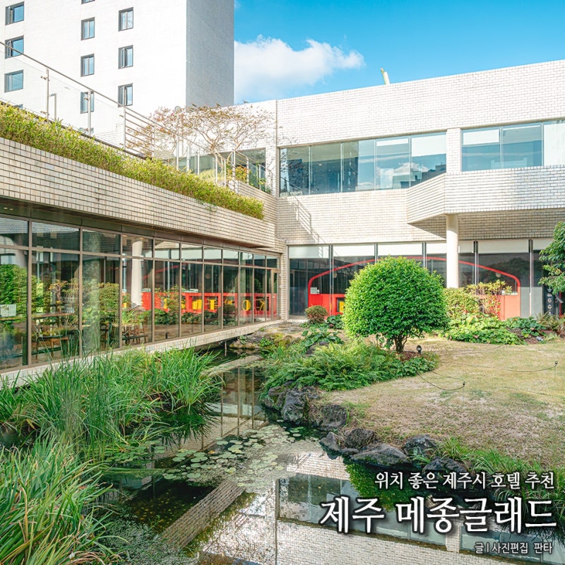 제주 메종글래드 호텔 제주 시내 호텔 제주시 호텔 숙소 추천