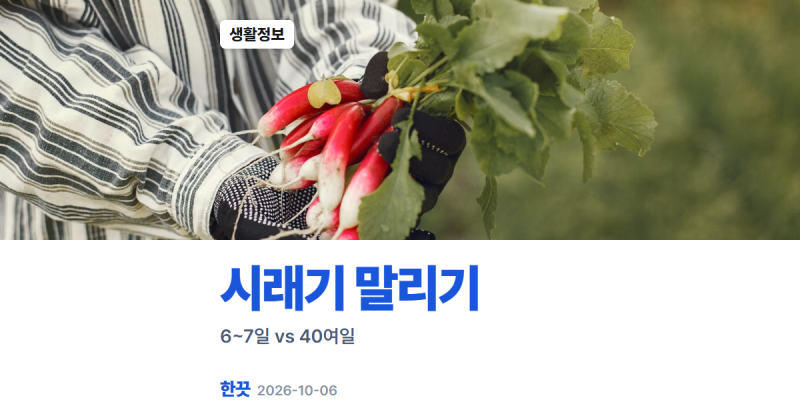 시래기 말리기 며칠? 6~7일 vs 40여일, 농진청 안내엔 일수가 없었다