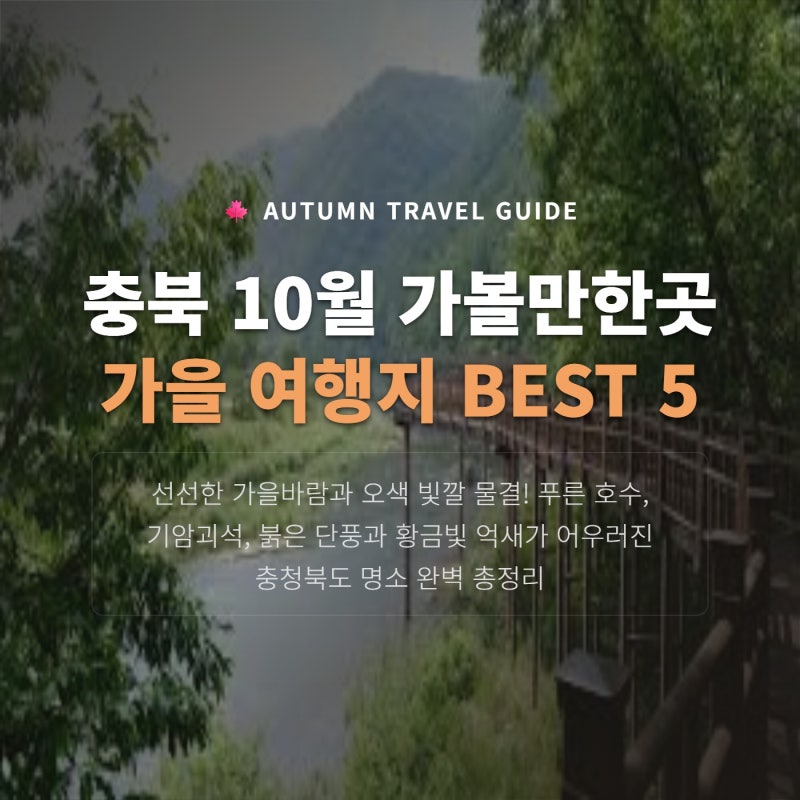 충북 10월 가볼만한곳 & 가을 여행지 베스트 5 + 단풍과 억새 명소 완벽 총정리