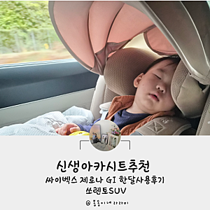 신생아카시트추천 싸이벡스 제로나 Gi 한달사용후기 쏘렌토SUV에서도 안정적인 배면각도