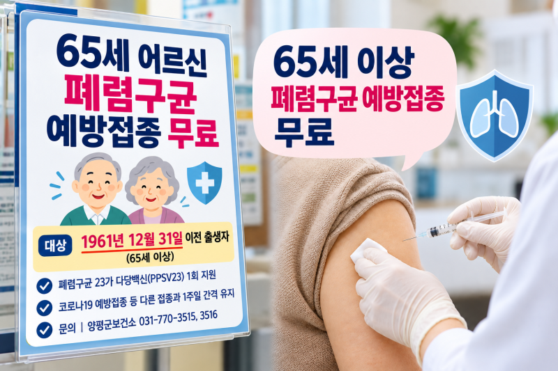 65세 이상 폐렴구균 예방접종 무료, 몇 번 맞아야 할까? (feat. 대상·접종 기준)