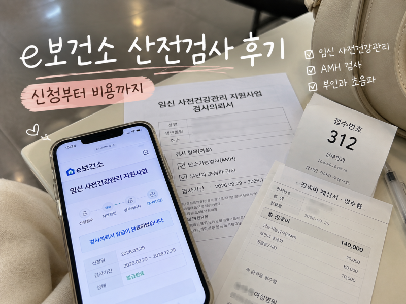 e보건소 산전검사 후기, 임신 사전건강관리 신청부터 비용까지