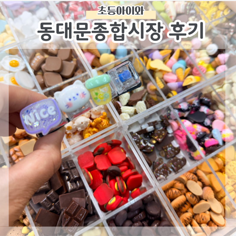 아이와 동대문종합시장 꿀팁 주의점 정리 찾아가는 방법까지
