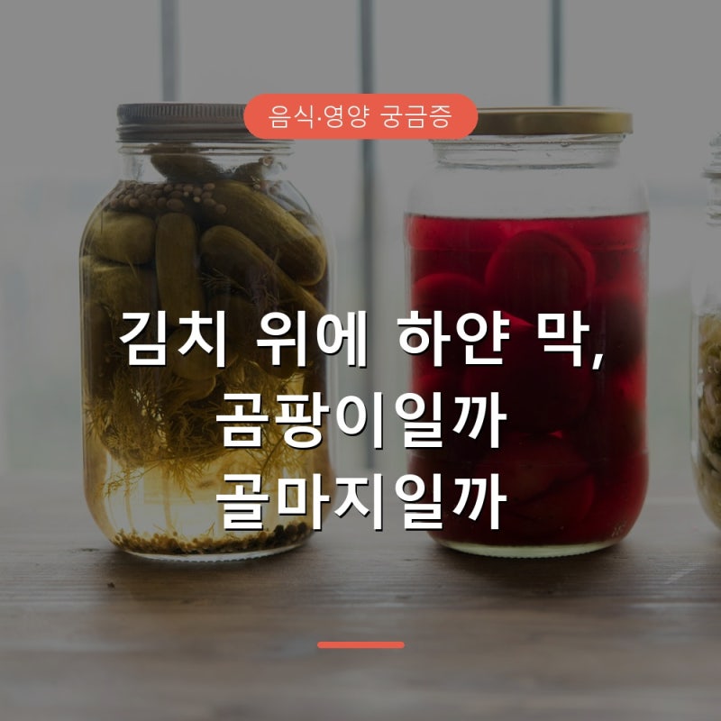 김치 하얀 막 골마지와 곰팡이 구별법, 먹어도 될까
