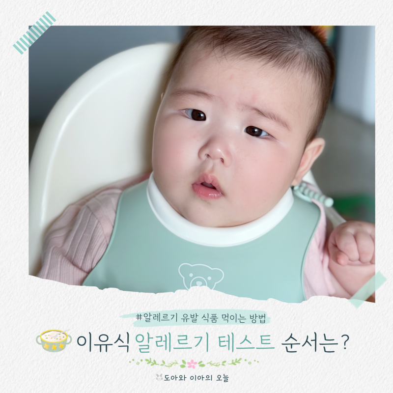 초기 이유식 알레르기 테스트 순서, 알레르기 유발 식품 먹이는 방법