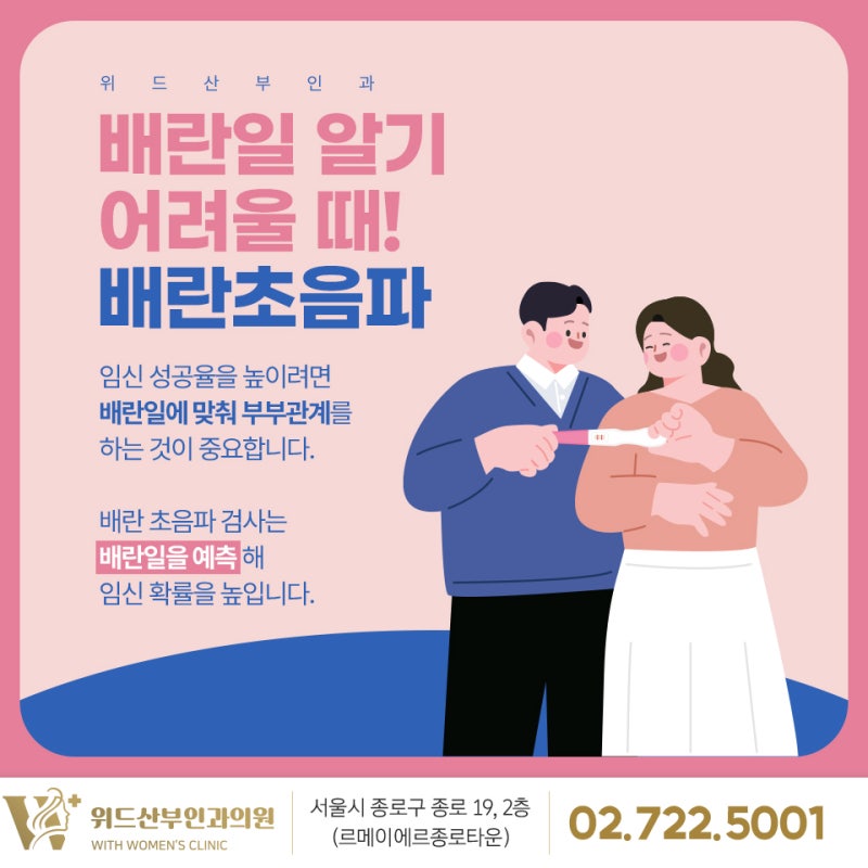 배란초음파 방법, 검사 시기와 확인할 수 있는 내용 - 시청역산부인과 토요일진료