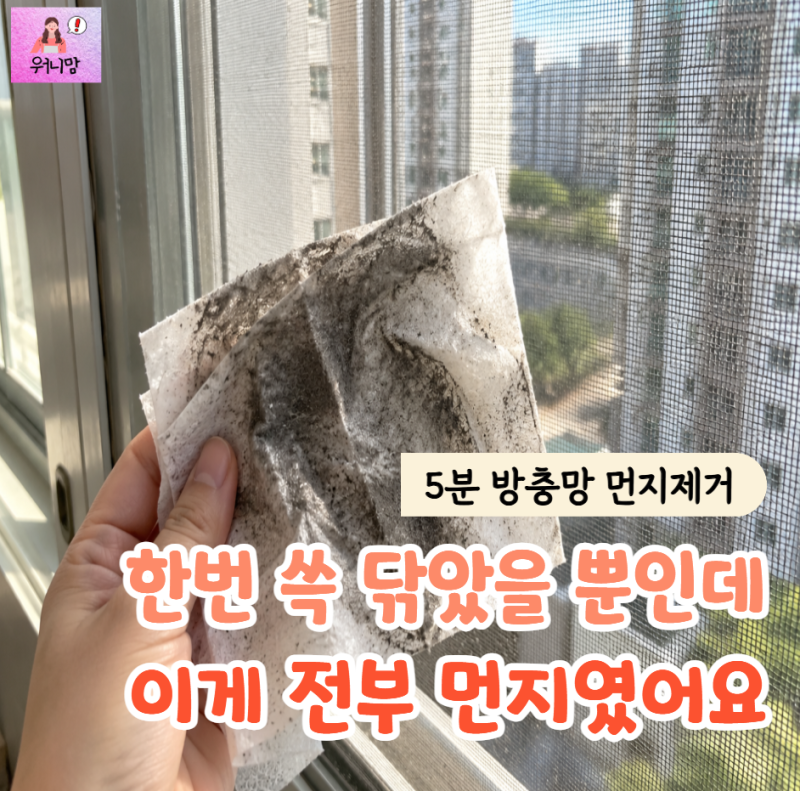 "청소포 하나로 끝" 힘들이지 않고 5분 만에 방충망 시커먼 먼지 싹 닦아내는 꿀팁