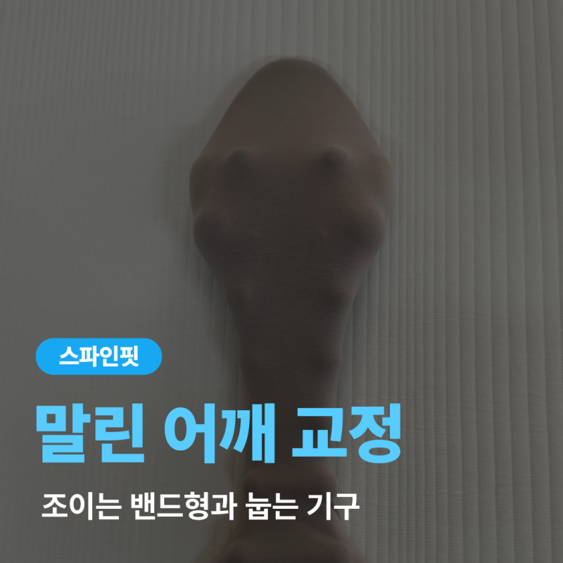 말린 어깨 교정기 조이는 밴드형과 눕는 기구, 표기 스펙으로만 비교